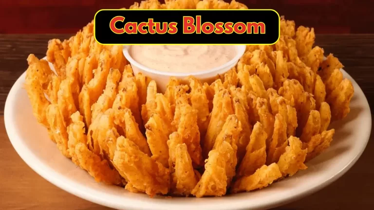 Cactus Blossom